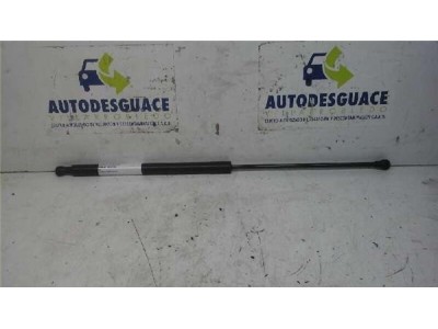 Amortiguador Capo Citroen C6  2 7 V6 HDi FAP 