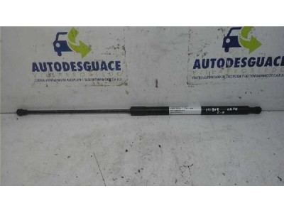 Amortiguador Capo Citroen C6  2 7 V6 HDi FAP 