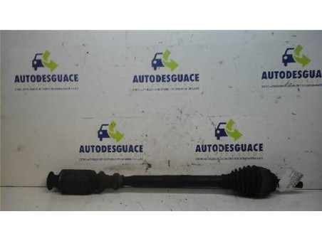 Transmision Delantera Izquierda Renault Clio II Fase I  1 9 D [1 9 Ltr  - 47 kW Diesel]