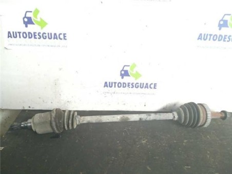 Transmision Trasera Derecha Renault Kangoo I  1 9 PAMPA [1 9 Ltr  - 59 kW dCi Diesel CAT]