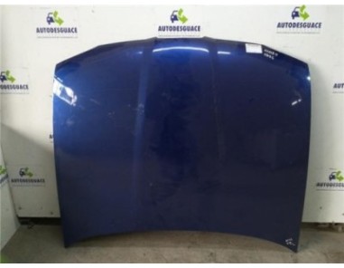 Capo Seat Ibiza  1 9 TDI