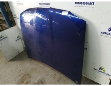 Capo Seat Ibiza  1 9 TDI