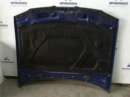 Capo Seat Ibiza  1 9 TDI