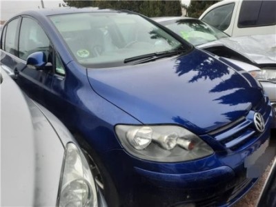 Despiece Motor Volkswagen Golf V Variant  1 9 TDI