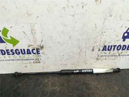 Amortiguador Capo BMW Serie 3 Berlina  2 5 325i [2 5 Ltr  - 160 kW 24V CAT]