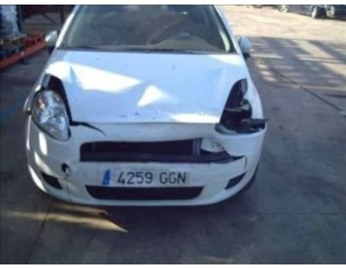 Trapecio » OTROS    MODELOS *