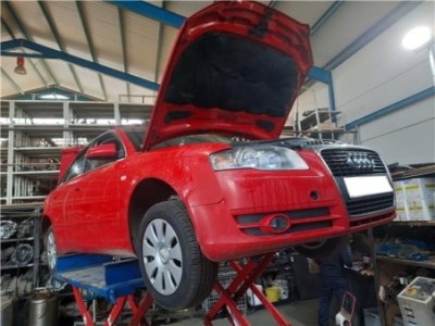 Potenciometro Pedal Gas Audi A4 Berlina  2 0 TDI 16V  [2 0 Ltr  - 103 kW TDI]