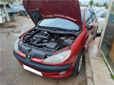 Peugeot 206 1 9 D X LINE
